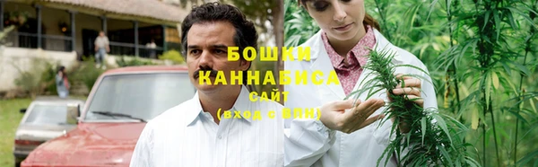 амф Горняк