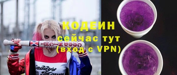 амф Горняк