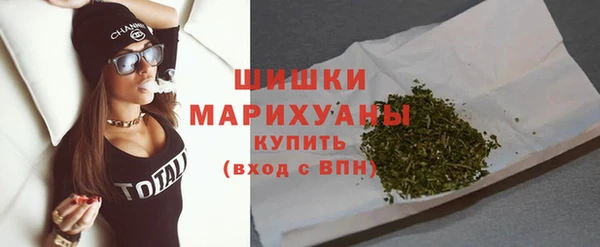 амф Горняк