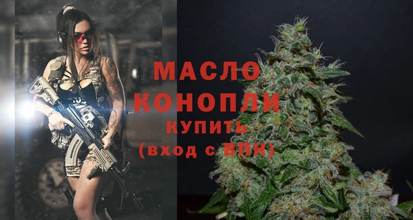 амф Горняк