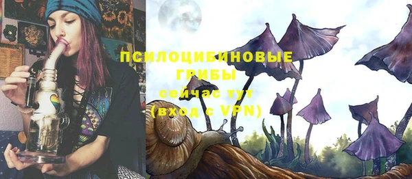 шишки Михайлов