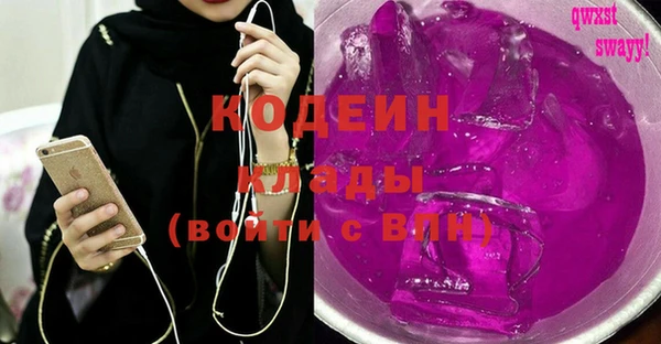 амф Горняк