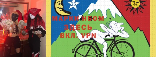 амф Горняк