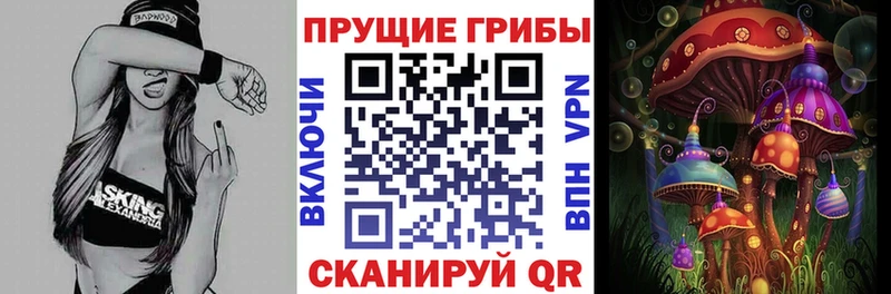 Псилоцибиновые грибы ЛСД  ОМГ ОМГ сайт  Меленки  магазин   